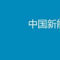 2017年中國(guó)新能源汽車(chē)行業(yè)年度報(bào)告