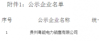 《關(guān)于貴州粵能電力銷售有限公司注冊成為貴州省電力自主交易市場主體相關(guān)信息的公示》