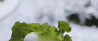 氣荒之后，又輪到了電煤供給的緊張局面