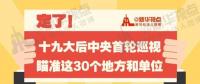 定了！華電集團(tuán)、中核集團(tuán)將接受十九屆中央第一輪巡視