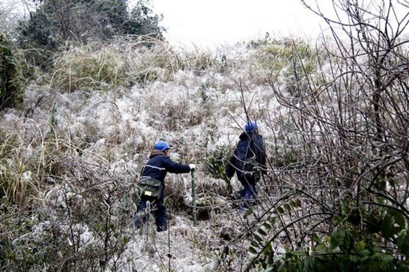 桂林興安供電冰雪來襲抗冰勇士在行動(dòng)