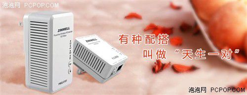 電力貓的版本眾多，從電力線傳輸技術(shù)上就可以分為HomePlug和G.hn，采用相同電力線通信技術(shù)的電力貓還可以分為有線電力貓和無線電力貓，而在無線電力貓中還有無線AP和無線路由的區(qū)別。外觀功能上的區(qū)別就更大了，以ZINWELL為例，就先后推出了單口有線電力貓，帶電源延長線的電力貓，多口有線電力貓，電力貓無線路由器，無線AP電力貓，帶電源插座的電力貓等。