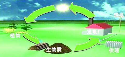 生物質(zhì)是替代核電、火電 彌補天然氣缺口的一種重要新能源