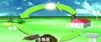 生物質(zhì)是替代核電、火電 彌補(bǔ)天然氣缺口的一種重要新能源