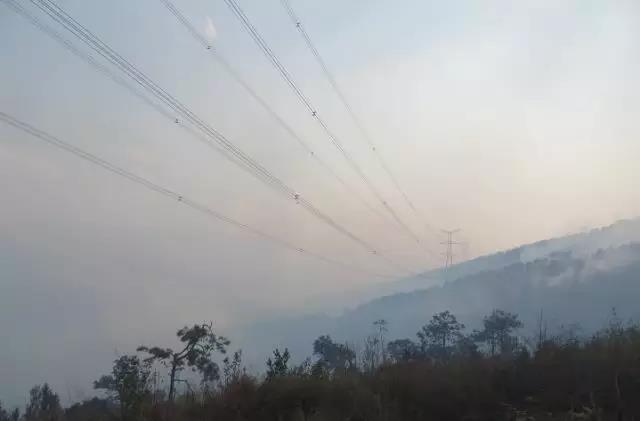 聽說最近輸電線路和鐵塔“火”啦！