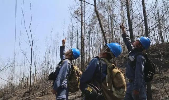 聽說最近輸電線路和鐵塔“火”啦！