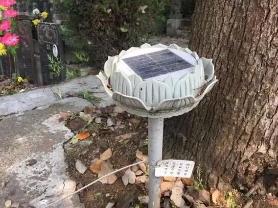 墓地傳來哭聲 周圍卻沒有人影 清明節(jié)你被光伏嚇著了嗎？