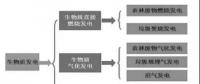 我國生物質(zhì)氣化耦合發(fā)電技術及應用探討
