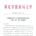 湖北省首批68家售電公司通過公示！4月20日前辦理注冊手續(xù)
