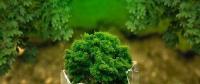 山東樂陵鐵營鎮(zhèn)光伏發(fā)電項(xiàng)目助力149戶貧困戶脫貧