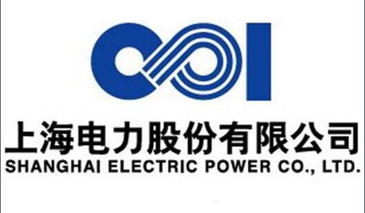 上海電力首個(gè)歐洲風(fēng)電項(xiàng)目圓滿(mǎn)完成第一臺(tái)風(fēng)機(jī)吊裝