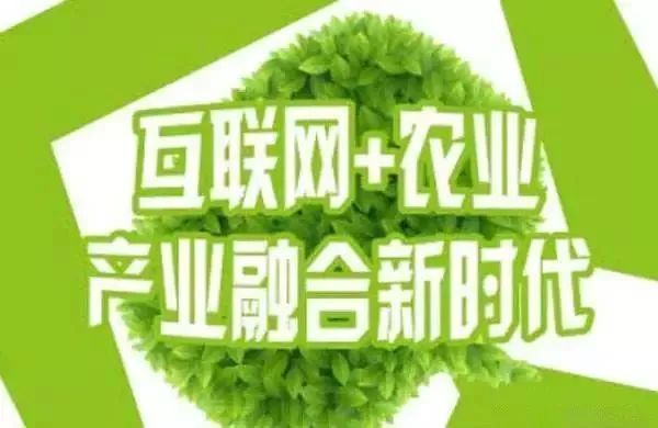 互聯(lián)網(wǎng)+農(nóng)業(yè)，6大創(chuàng)業(yè)方向是…