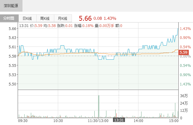 深圳能源：關(guān)于投資建設(shè)單縣5萬千瓦風力發(fā)電項目并提供擔保的公告