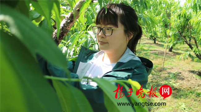 一個(gè)“80”后研究生的“綠色農(nóng)業(yè)夢(mèng)”：用“互聯(lián)網(wǎng)+”思維做農(nóng)業(yè)，新型職業(yè)農(nóng)民“潮”起來(lái)
