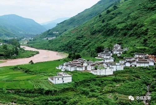 移動互聯(lián)網(wǎng)走進農(nóng)村，推動農(nóng)業(yè)產(chǎn)業(yè)的智慧化轉(zhuǎn)型升級 