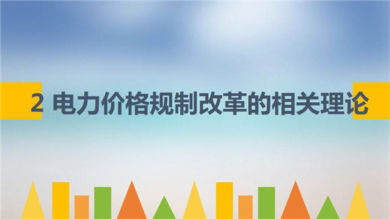 我國電力價格規(guī)制現狀、存在的問題及原因分析