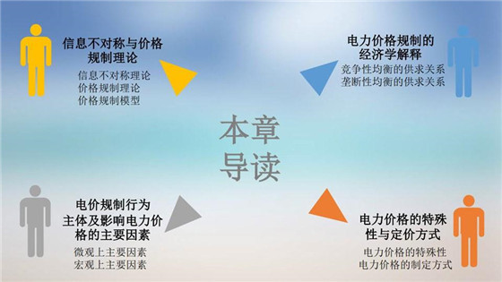 我國電力價格規(guī)制現狀、存在的問題及原因分析