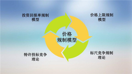 我國電力價格規(guī)制現狀、存在的問題及原因分析