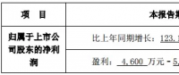 隆基、晶科齊發(fā)聲 “531”利大于弊？