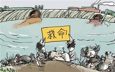上游污水“毒死”萬畝大閘蟹，誰擔(dān)其責(zé)？