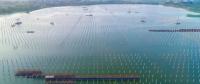泗洪光伏發(fā)電應(yīng)用領(lǐng)跑基地2、4號漁光互補項目建設(shè)紀(jì)實