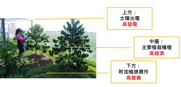 后補(bǔ)貼時代 “架高、一地多用”助力光伏平價上網(wǎng)