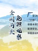 讀圖｜2020政府工作報(bào)告中這些內(nèi)容，和能源電力有關(guān)！
