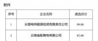 2025年云南電力市場(chǎng)保底售電公司候選名單公示！